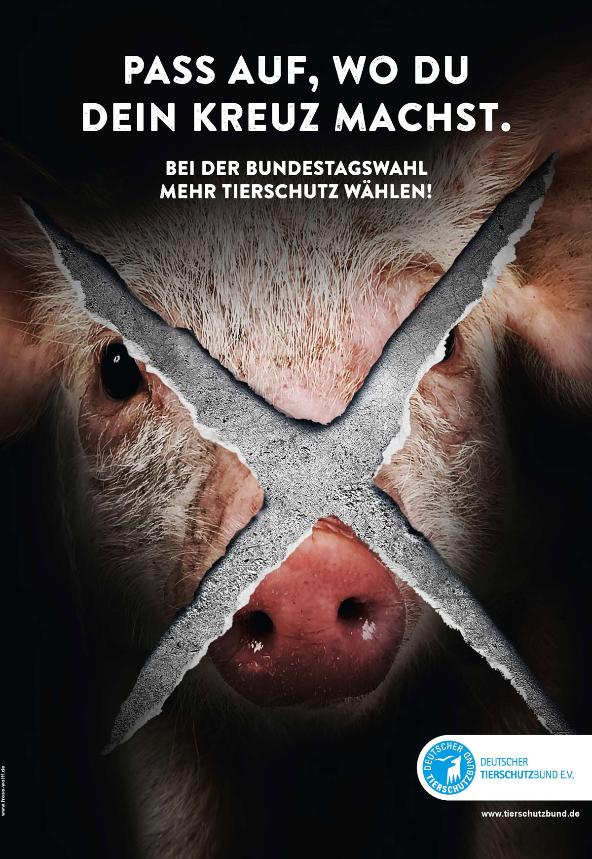 Mit Kampagnenplakaten macht der Deutsche Tierschutzbund Wählerinnen und Wähler darauf aufmerksam, dass sie mit ihrer Wahlentscheidung auch den Grundstein für den Tierschutz in den nächsten Jahren legen.